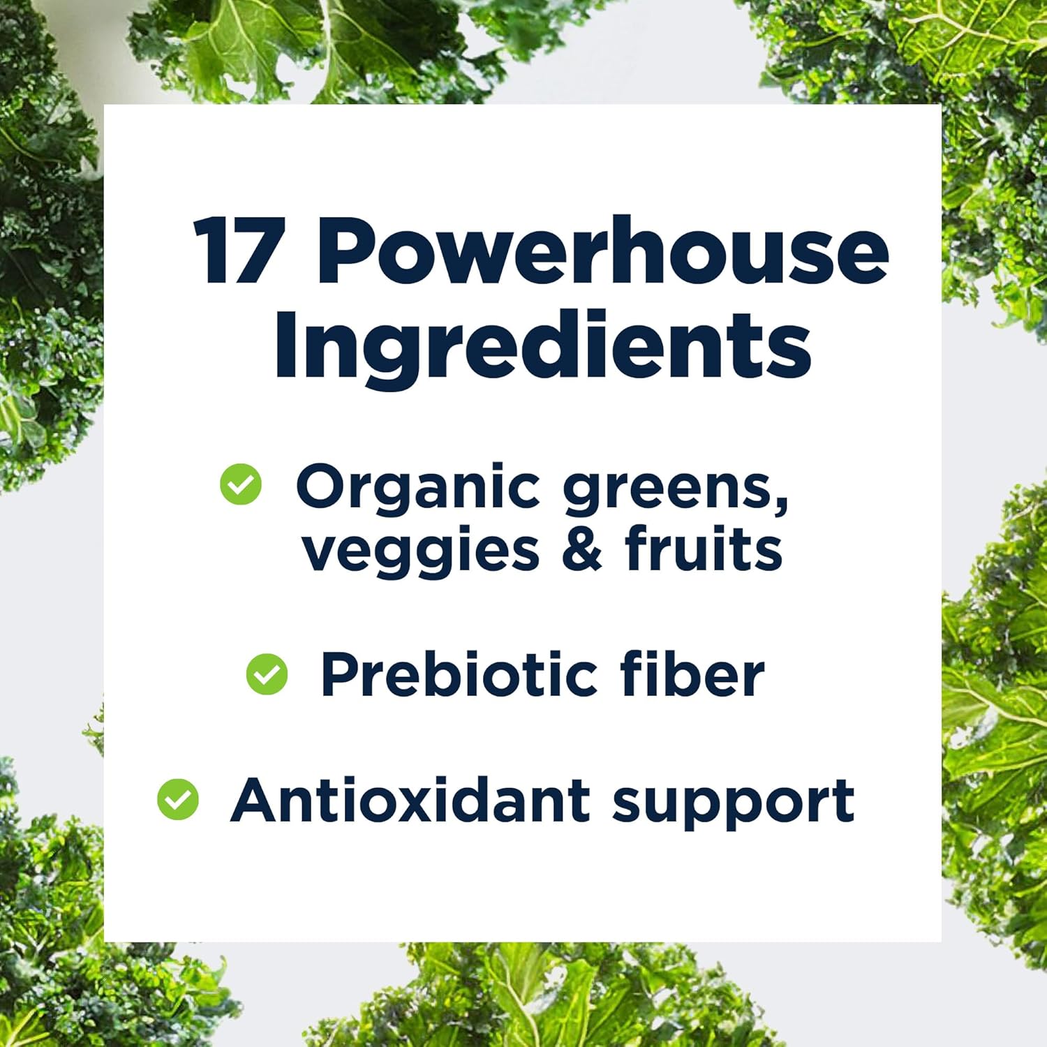 Designs for Health EssentiaGreens and Reds (Chocolate, 30 Servings), Vegan Superfood Powder with Spirulina, Kale & More, for Daily Nutrition and Digestive Health